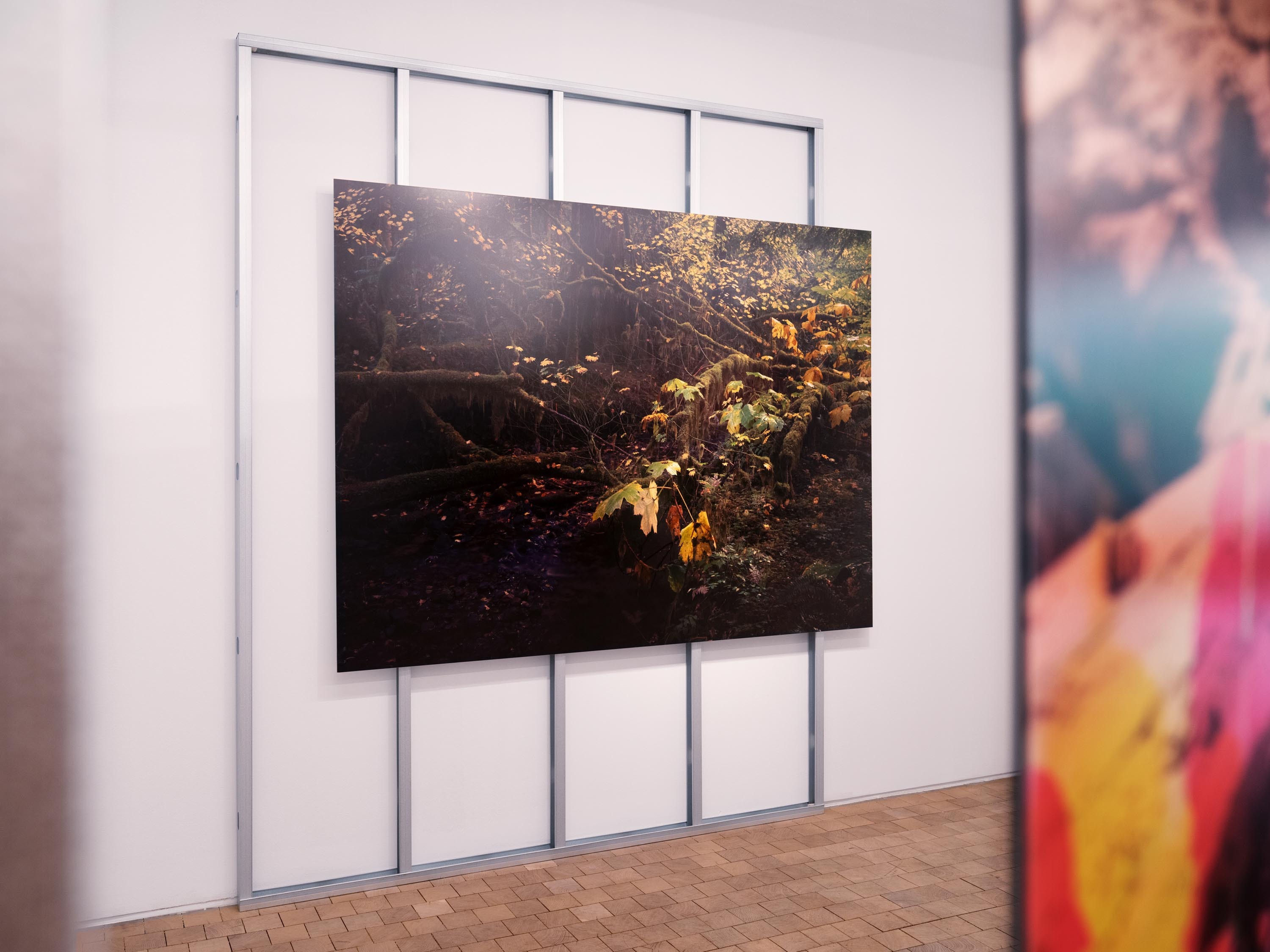 2025 Double Miroir Lebicolore10