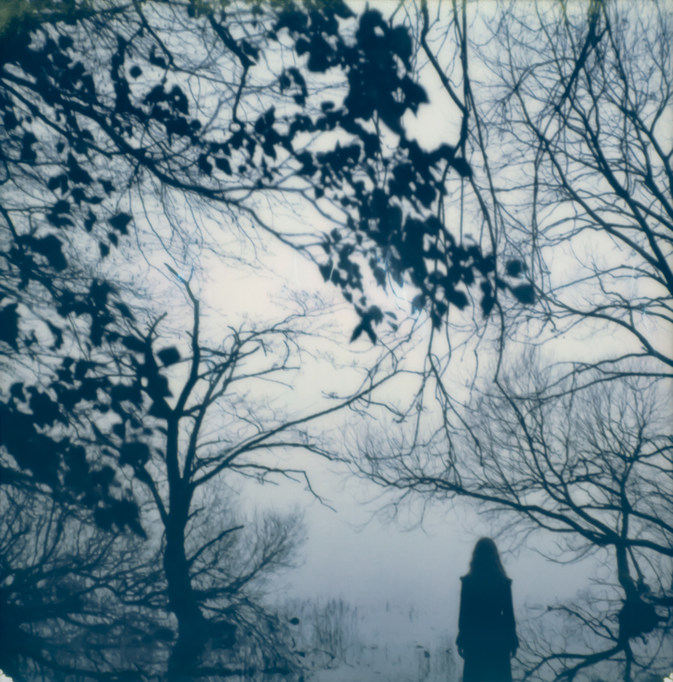 The Landscape of Memory, 2019. Astrid Kruse Jensen, Courtesy Martin Asbæk Gallery