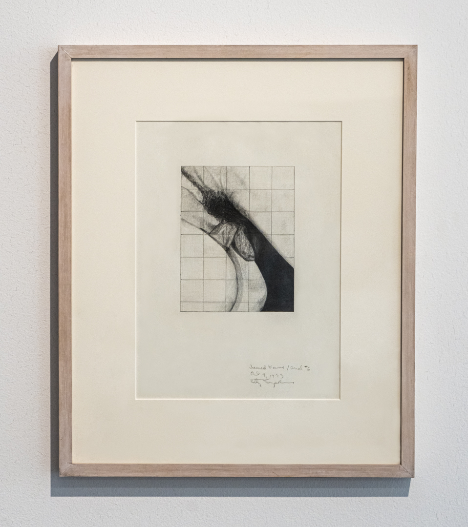 X . A CAPITAL DESIRE 1 ©Emmanuel Aguirre